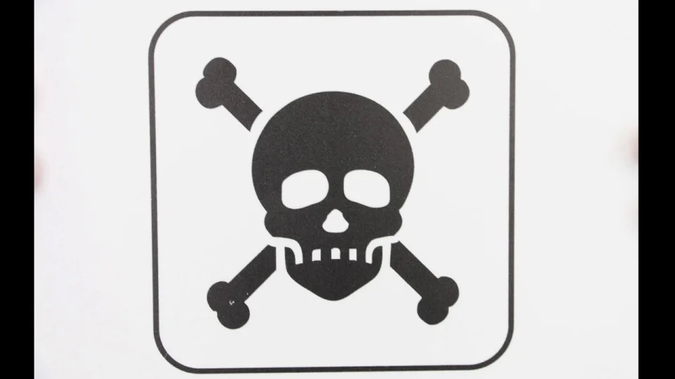 History of Skull and Crossbones Symbol: Find Out [Video]