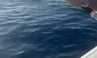 Clean boat, friendly, knowledgeable and respectful captain