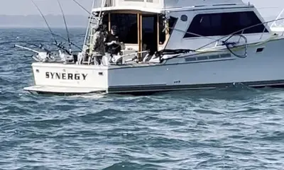 Olcott Report Video 0
