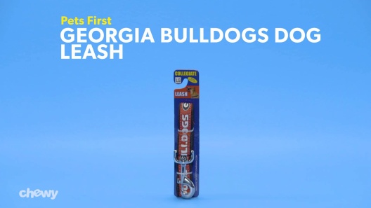 Play Video: Learn More About Pets First From Our Team of Experts