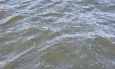 Jacksonville Report Video 0