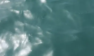 Permit fishing good as it gets