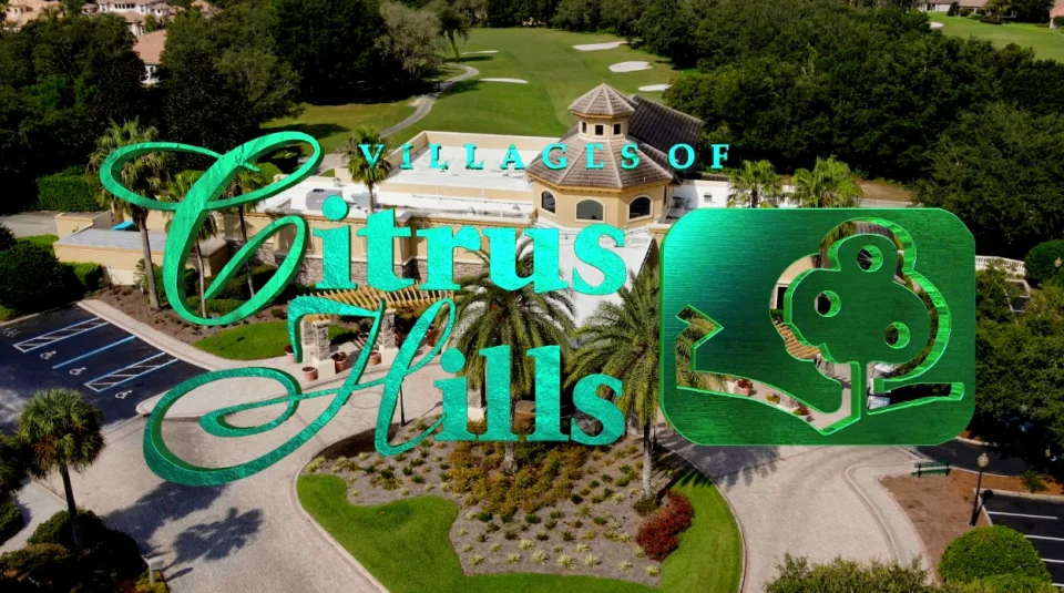 Sandhill Cranes - Unique Florida — Villages of Citrus Hills