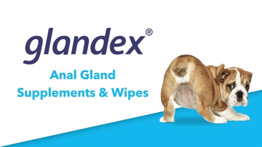 Glandex Dog Wipes for Pets Cleansing & Deodorizing Anal Gland Hygienic  Wipe​s