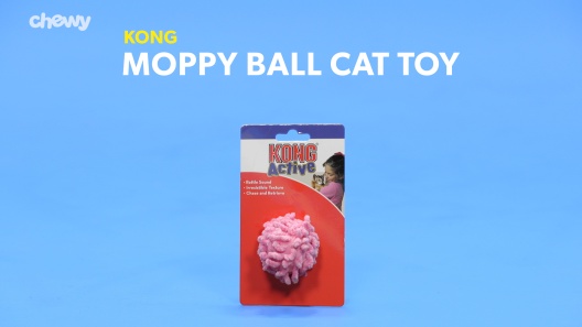 kong moppy ball