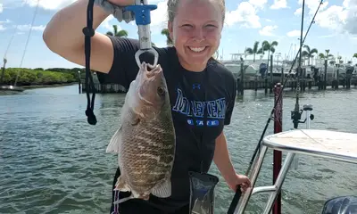 Port Orange Report Video 0