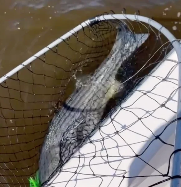 Business Card: PrimeTime Fishing Charters