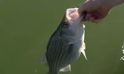 Great day on the water