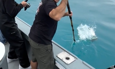 Los Angeles Report Video 2