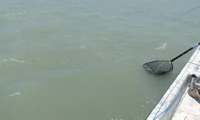 Port Isabel Report Video 0