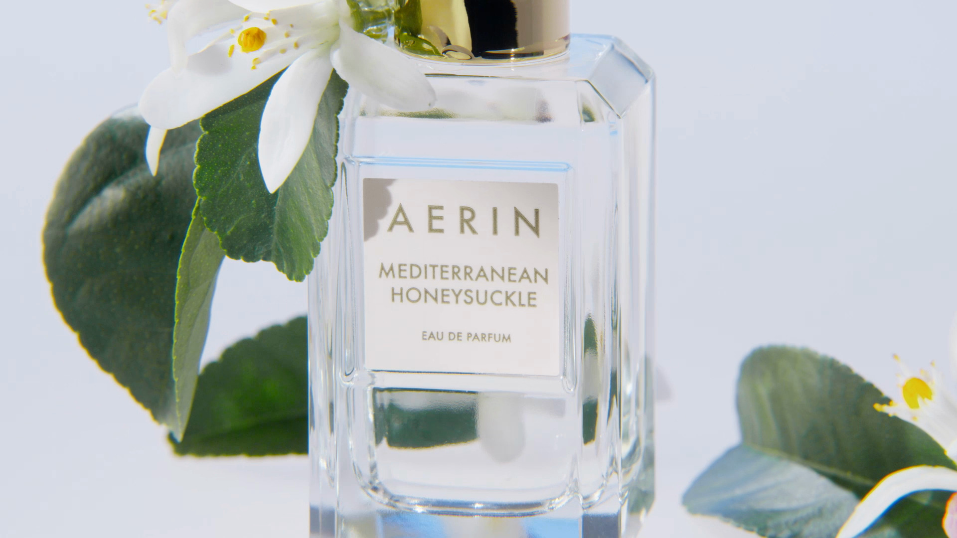 Aerin mediterranean discount honeysuckle in bloom