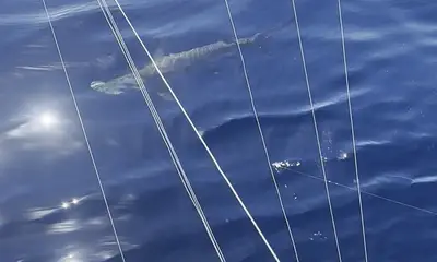 Miami-Dade County Report Video 0