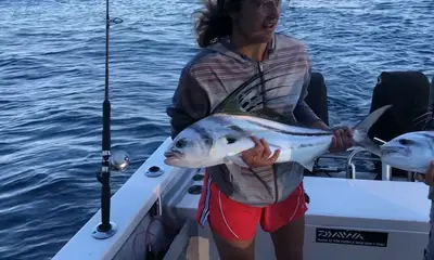 Puerto Vallarta Report Video 1