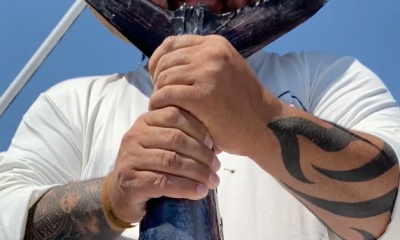 Cabo San Lucas Report Video 0