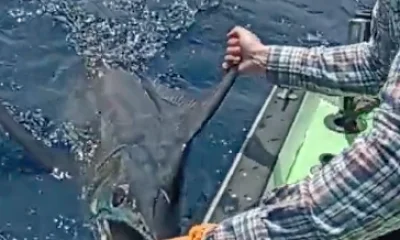 Puerto Jiménez Report Video 1