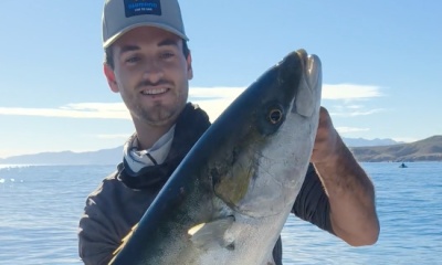 La Paz Report Video 1