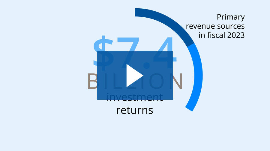 Revenue Sources video thumbnail