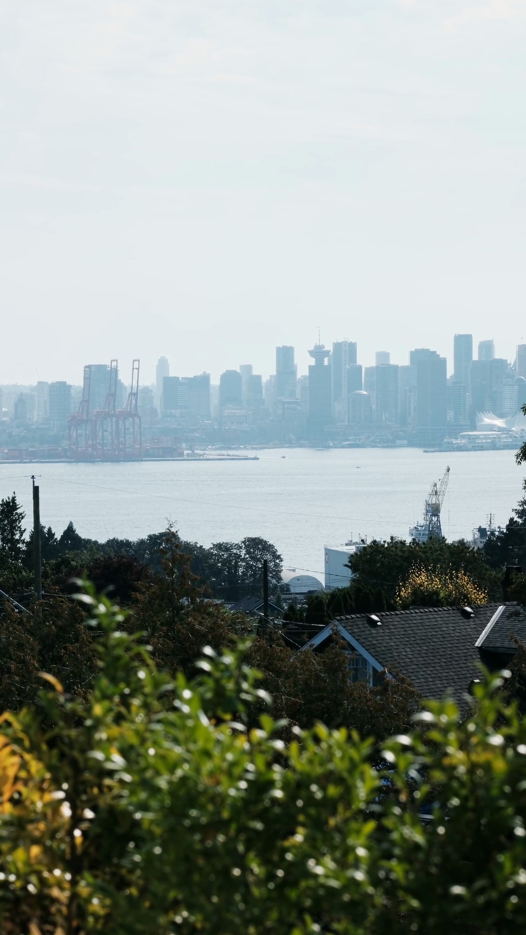 767 Ridgeway Ave listing reel