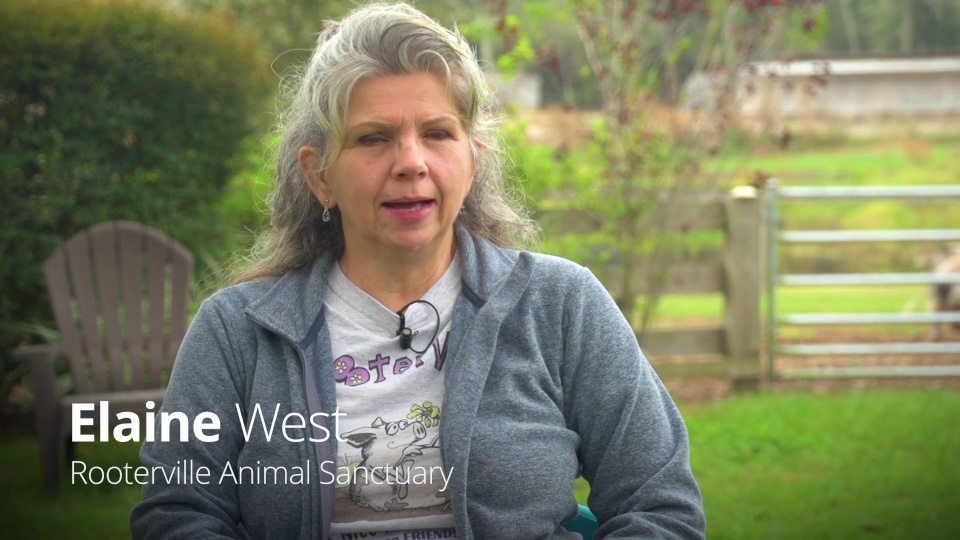 Rooterville Animal Sanctuary - Customer Success Story (Elaine West - Founder)