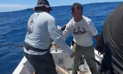 San Jose del Cabo Report Video 0
