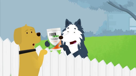 Play Video: Learn More About Bern Dog Brand From Our Team of Experts