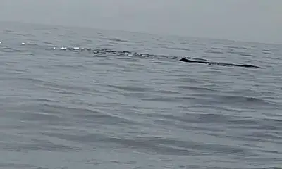 Fort Lauderdale Report Video 0