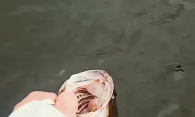 Minneapolis Report Video 1