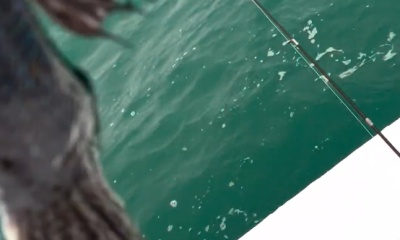 Barnstable Report Video 0