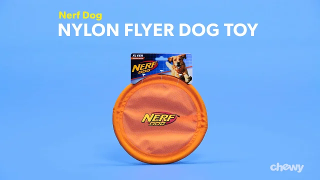 Great Toy for Your Favorite Pooch 10-Inch Nerf Dog TPR Flyer Orange 