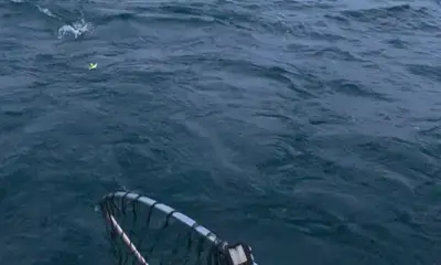 Erie Report Video 0