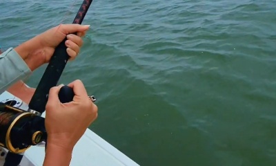 Galveston Report Video 0