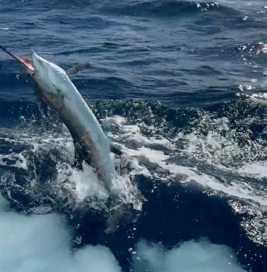 Business Card: Reel Priority Charters