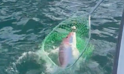 Fishing with Wilder