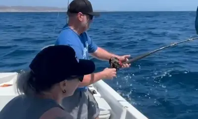 Mexico Verslag Video 2