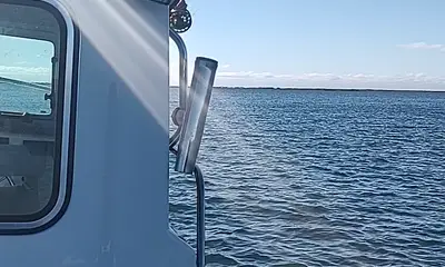 Mastic Report Video 0
