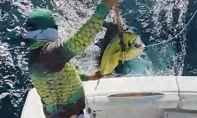 Cabo San Lucas Report Video 0