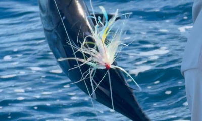 A fish on the line every two minutes. 