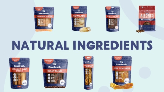 Pawstruck Beef Recipe Grain-Free Air Dried Dog Food