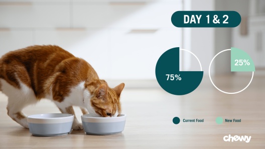 Play Video: Learn More About Royal Canin Veterinary Diet From Our Team of Experts