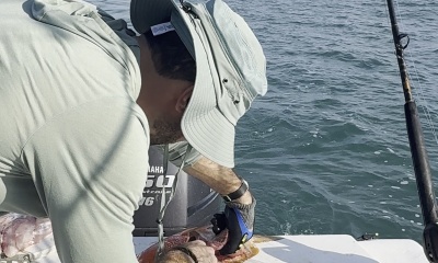 Best Charter in Costa Rica