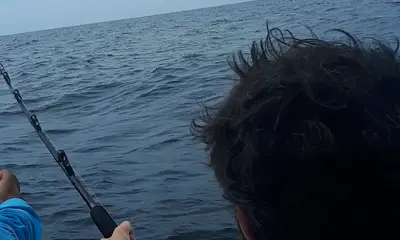 Panama City Report Video 2