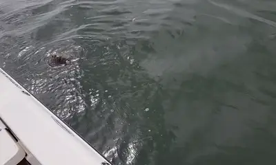 Port Orange Report Video 1