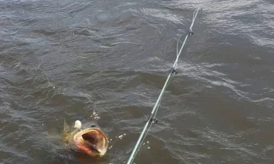Lake Worth Report Video 0