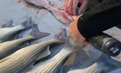 Perfect experience