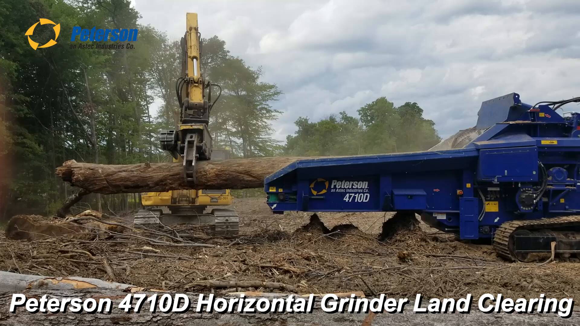 HUNTER ADSB ANDERSSON BELL ダークグリーン e07056dd7754d479a848079e85de5b