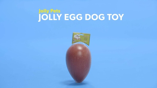 Play Video: Learn More About Jolly Pets From Our Team of Experts