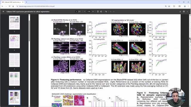 Tutorial: Using Cellpose SAM in arivis Pro