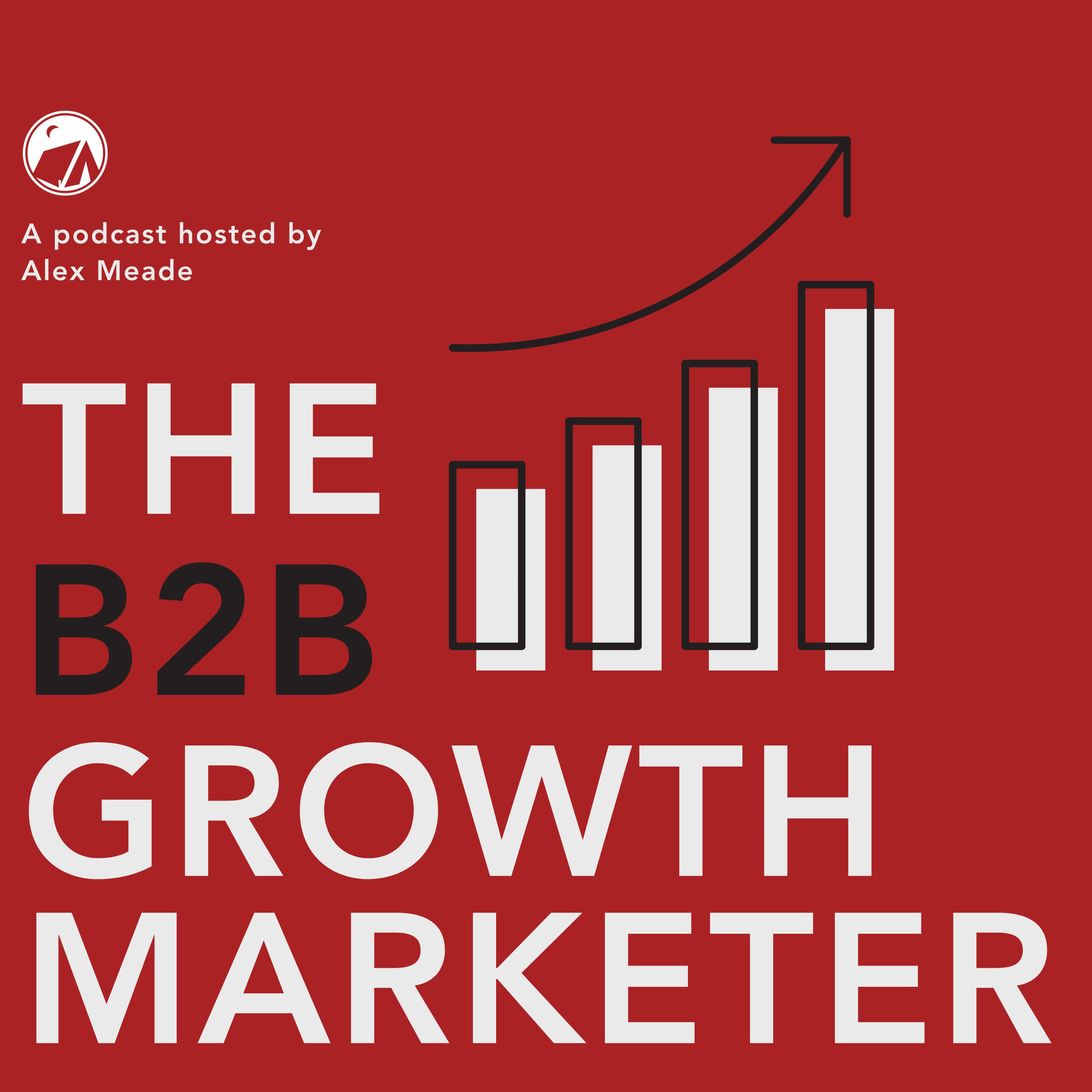 The B2B Growth Marketer