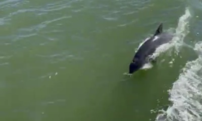 Perfect quick charter cruise!