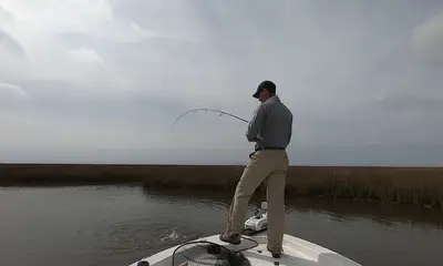 New Orleans Report Video 0